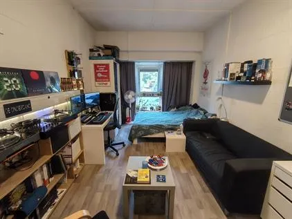 Kamer te huur: Costerweg, Nude-buurt Wageningen