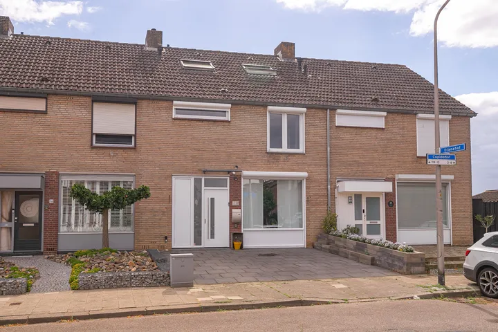 Tussenwoning te koop: Cupidohof 14, Daalhof Maastricht