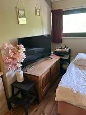 Kamer te huur: Daal en Bergselaan, Bloemenbuurt-West 'S-Gravenhage
