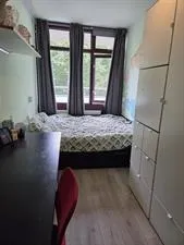 Room for rent: Daalwijk, D-buurt Amsterdam