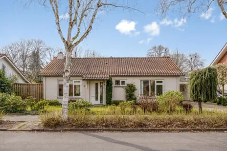 Vrijstaande woning te koop: Dahliastraat 3, Theereheide Sint-Michielsgestel