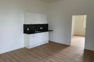 Woning te huur: Dammenseweg, Koudum Koudum
