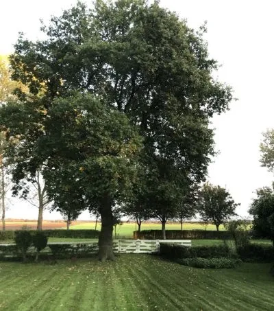 Vrijstaande woning te koop: Dammerweg 10, Oostelijke Vechtoever Weesp