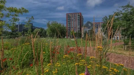 Appartement te koop: Dankmeijerpad 71, Pesthuiswijk Leiden