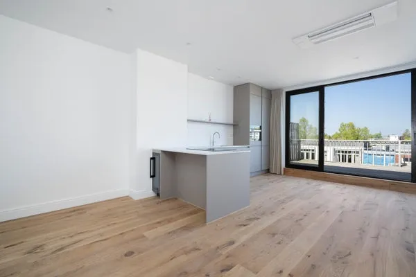 Woning te huur: De Lairessestraat, Cornelis Schuytbuurt Amsterdam