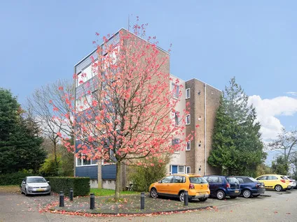Studio te huur: De Rougemont-Nes 21B, Negen-Nessen Bergen (Nh)