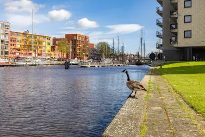 Appartement te koop: De Brink 116, De Meeuwen Groningen