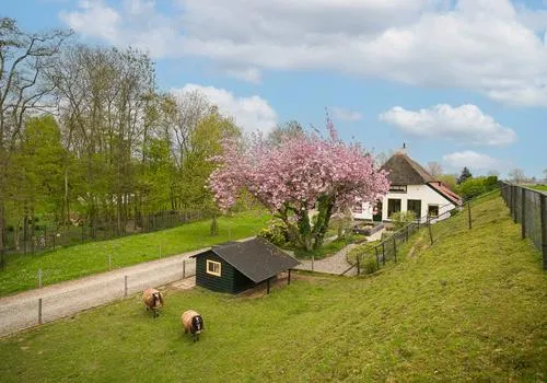 Vrijstaande woning te koop: de Tuut 16, Appeltern