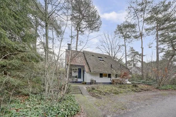 Woning te koop: De Witte Bergen 46, Verspreide huizen IJhorst Ijhorst
