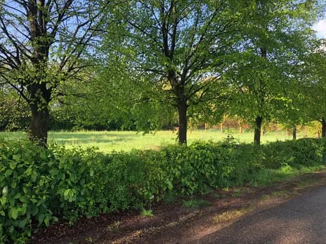 Woning te koop: De Wolfsputten, Helmond