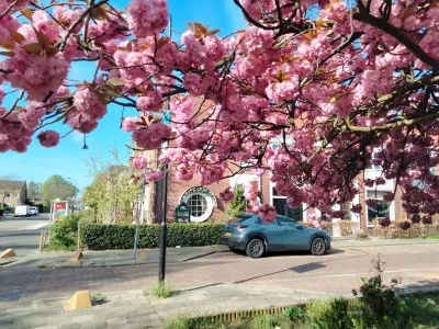 Hoekwoning te koop: Dekkerstraat 2, Oostertuinen Beverwijk