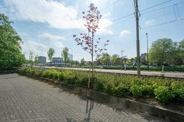 Woning te huur: Delftweg, Rijswijk