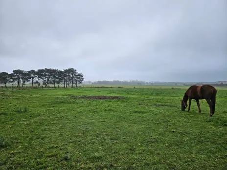 Vrijstaande woning te koop: Deurneseweg kavel 2, Verspreide huizen Ommel Ommel