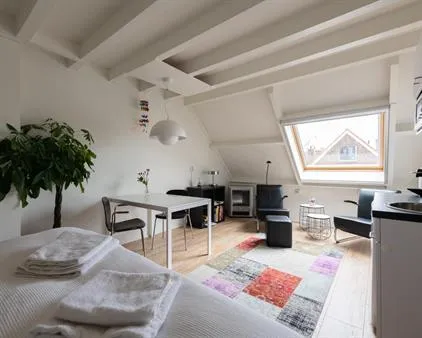 Kamer te huur: Diamantpad, Zeeheldenbuurt Delft