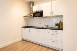 Woning te huur: Diergaardesingel, Oude Westen Rotterdam
