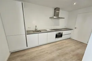 Home for rent: Dijkstraat, Boulevardwijk Arnhem