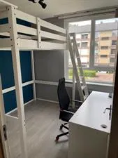 Kamer te huur: Dommelstraat, Deppenbroek Enschede