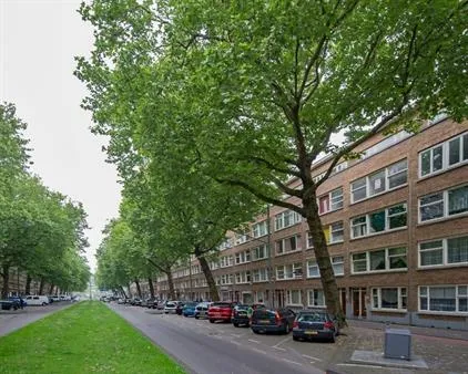Kamer te huur: Dordtselaan, Tarwewijk Rotterdam