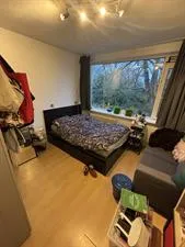 Kamer te huur: Duindoornstraat, Selwerd Groningen