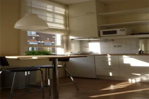 Woning te huur: Duvenvoordestraat, Garenkokerskwartier Haarlem