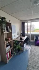 Kamer te huur: E. du Perronlaan, Roland Holstbuurt Delft