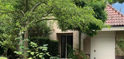 Vrijstaande woning te koop: Eikendael 32, Oud-Clingendaal Wassenaar