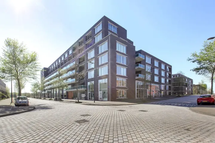 Appartement te huur: Emmy Andriessestraat 450, Theo van Goghparkbuurt Amsterdam