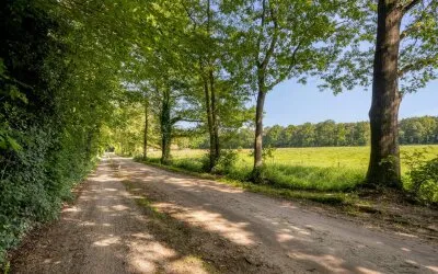 Vrijstaande woning te koop: Enzerinckweg 5, Verspreide huizen Delden en Veldwijk Vorden