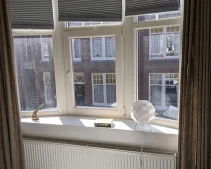Kamer te huur: Esdoornstraat, Bomenbuurt 'S-Gravenhage