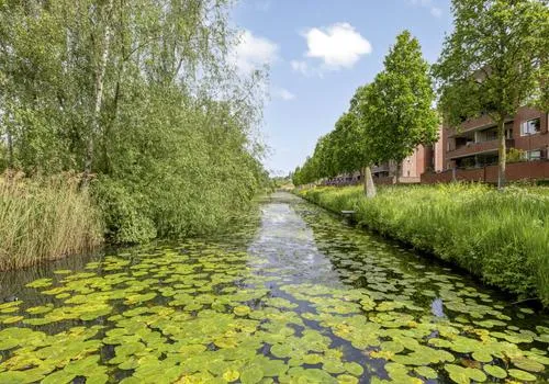 Appartement te koop: Essehout 46, Rokkeveen-West Zoetermeer