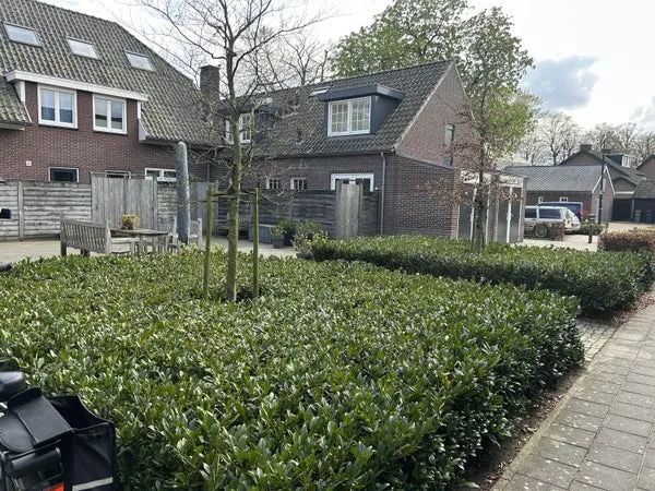 Woning te huur: Flinkert, Vessem-kom Vessem