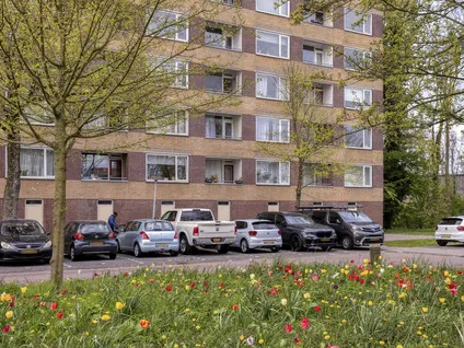 Appartement te koop: Fluitekruidweg 17, Kogerveld Zaandam