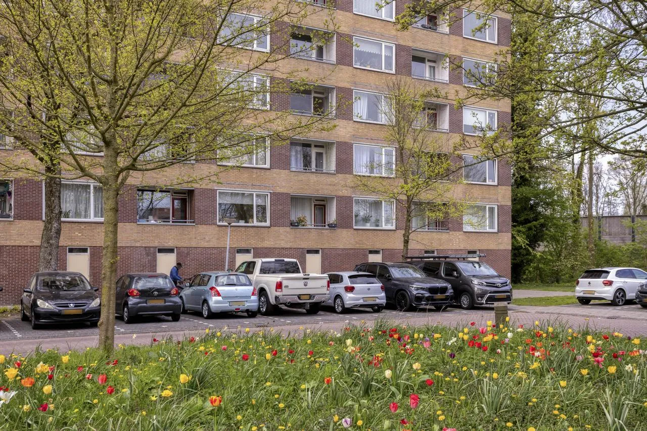 Appartement te koop: Fluitekruidweg 17, Zaandam