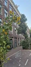 Room for rent: Frans Halsstraat, Frans Halsbuurt Amsterdam