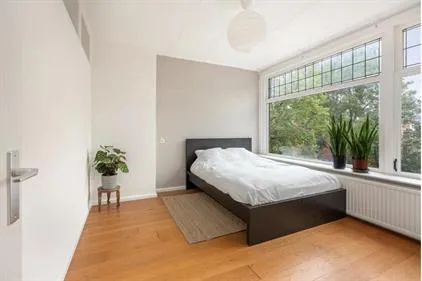 Kamer te huur: Franselaan, Oud Mathenesse Rotterdam