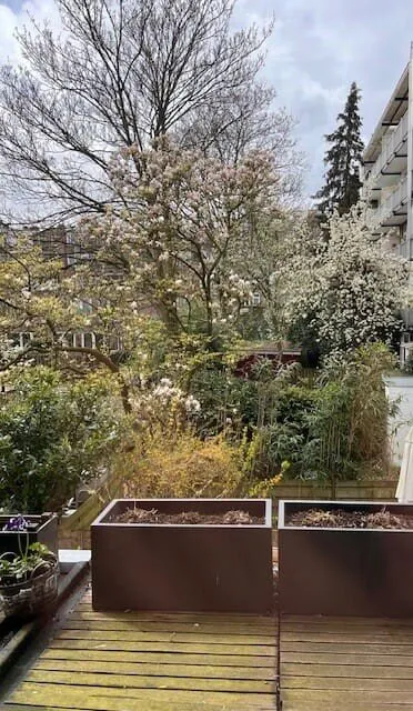 Studio te koop: Frederiksstraat 2-1, Vondelparkbuurt-West Amsterdam