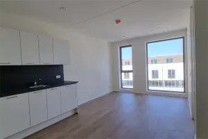 Woning te huur: Friesestraatweg, Schildersbuurt Groningen