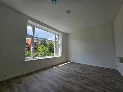 Room for rent: Friesestraatweg, Schildersbuurt Groningen