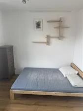 Kamer te huur: Galantstraat, Grunder/Koningshoef Amsterdam