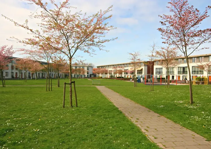 Apartment for rent: Ganzenplantsoen 45, Morgenweide 'S-Gravenhage