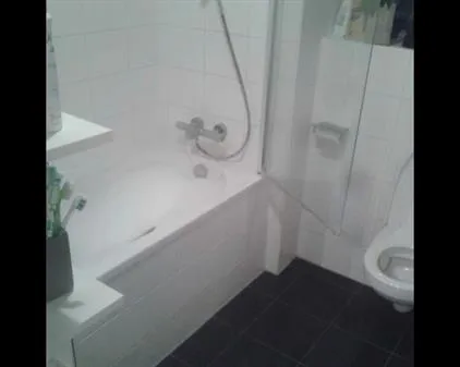 Room for rent: Glanswit, Rokkeveen-Oost Zoetermeer