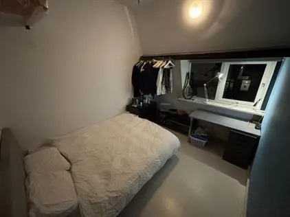 Kamer te huur: Goeman Borgesiusstraat, Agnetaparkbuurt Delft