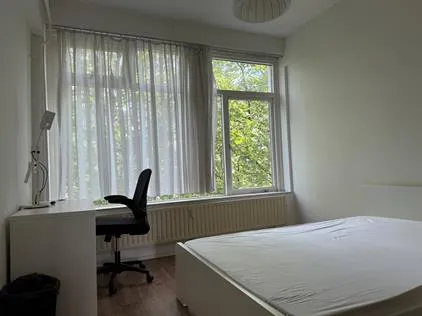 Kamer te huur: Goudsesingel, Stadsdriehoek Rotterdam