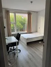 Kamer te huur: Goudsesingel, Stadsdriehoek Rotterdam