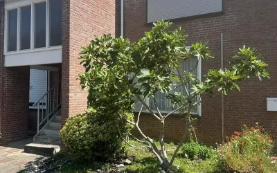 Appartement te koop: Groen van Prinstererstraat 24, Overhoven Sittard