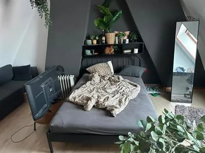 Kamer te huur: Groene Hilledijk, Vreewijk Rotterdam