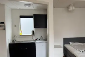 Kamer te huur: Groeneweg, Oud-Assendorp Zwolle