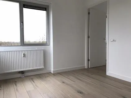 Kamer te huur: Groenhoven, Amsterdam