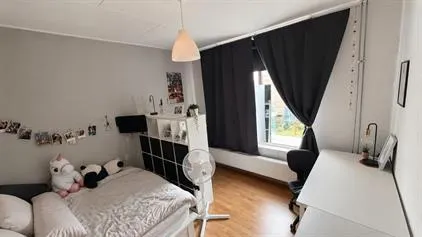 Room for rent: Groningerstraat, Oldegalileën Leeuwarden