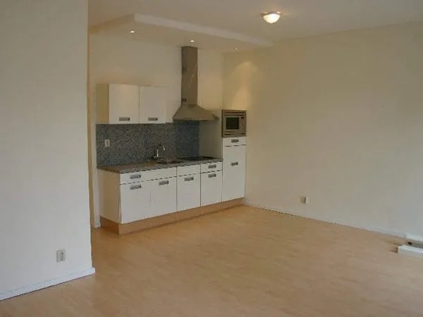 Home for rent: Groot Hertoginnelaan, Bomenbuurt 'S-Gravenhage